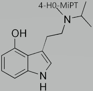 4 HO MiPT 1 300x294 1