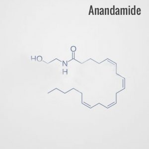 ANANDAMIDE BUY