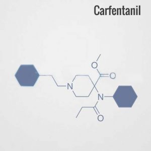 what is carfentanil